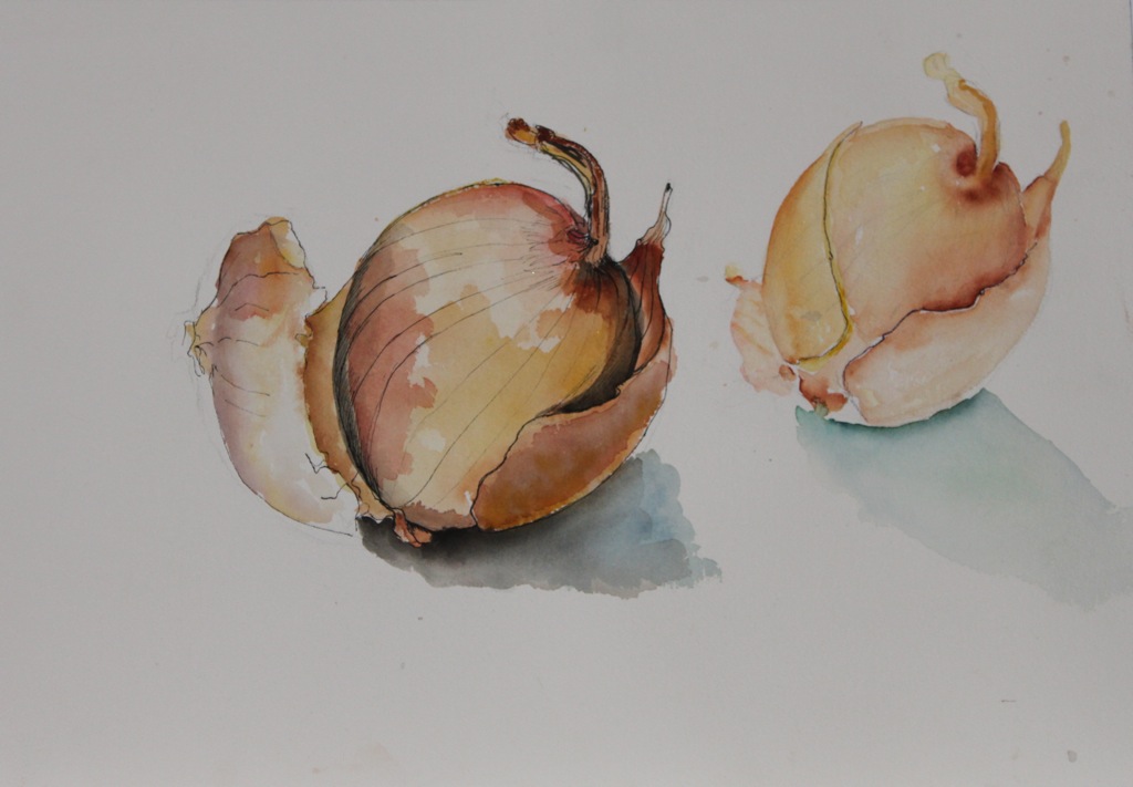 An exploration of the layers of onions